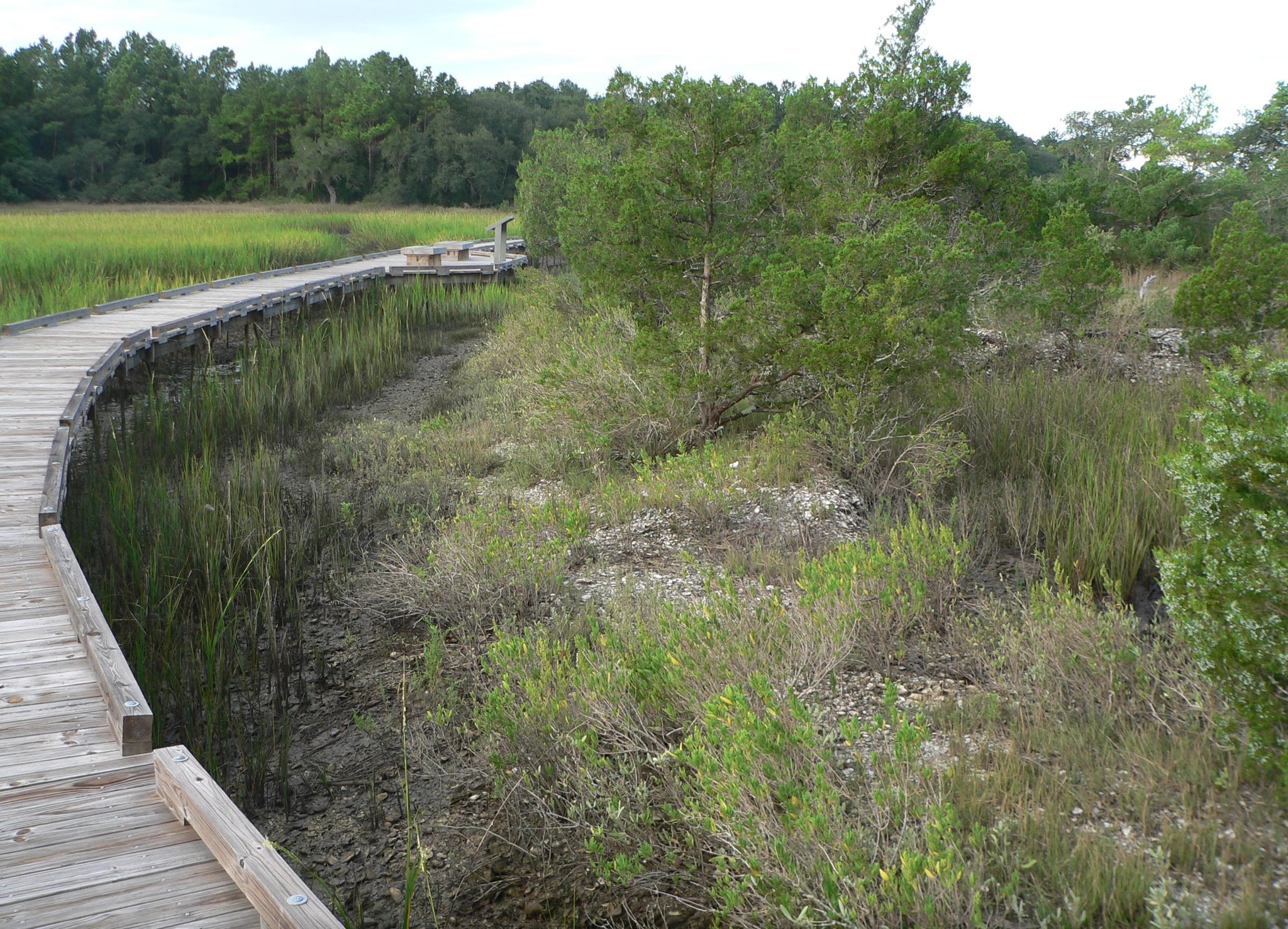 Sewee Shell Ring boardwalk near Awendaw, South Carolina.