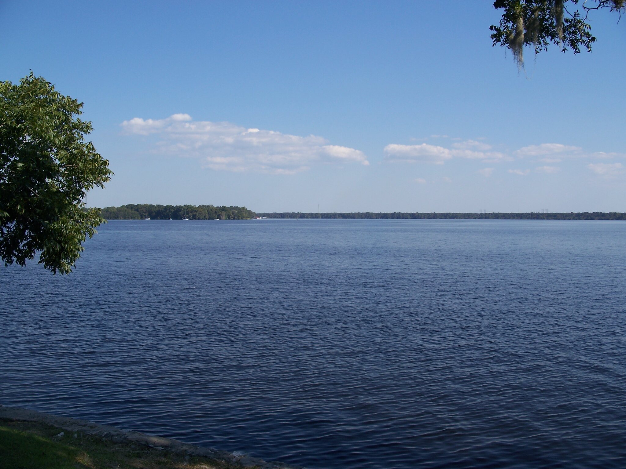 Downtown and St. Johns River context in Palatka, Florida.