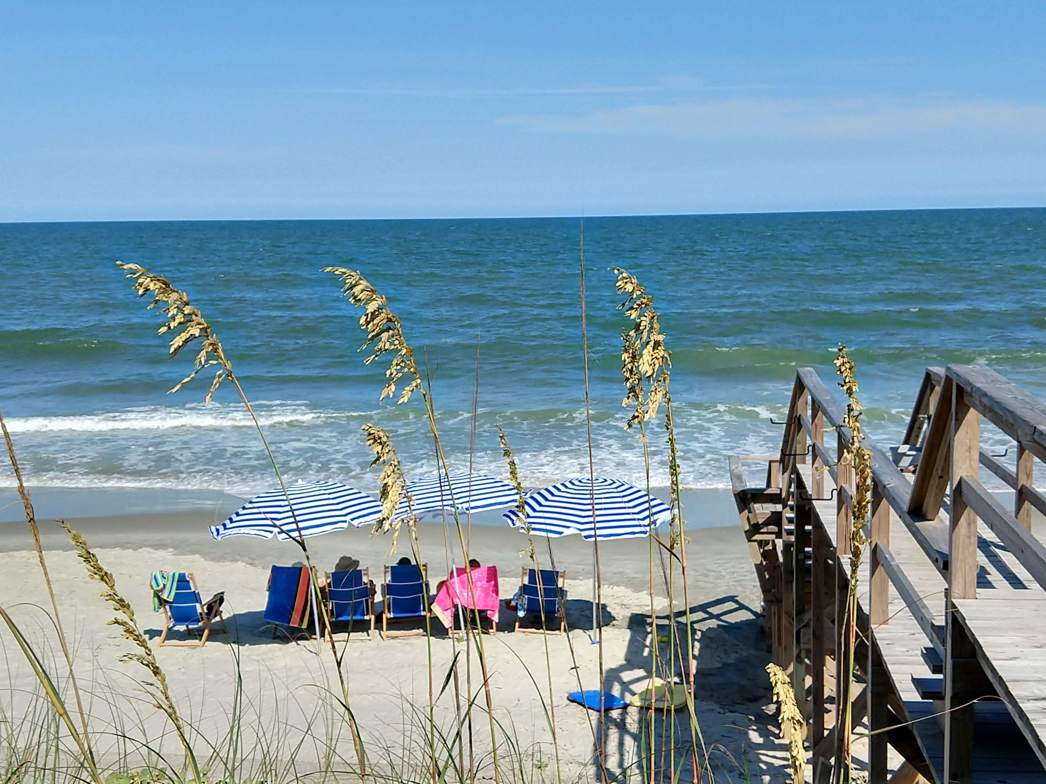 Beach and dune grass on Pawleys Island, South Carolina.