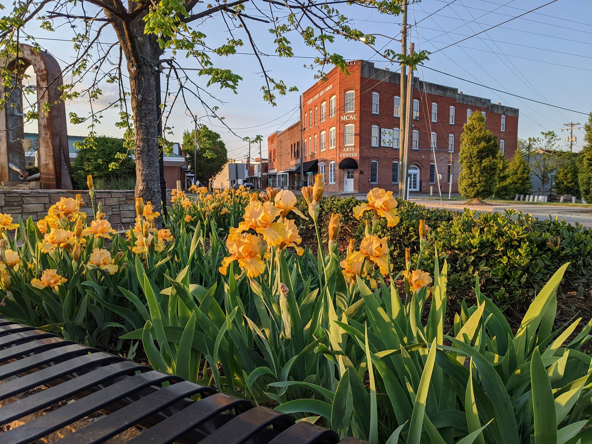Washington Street in downtown Williamston, North Carolina.