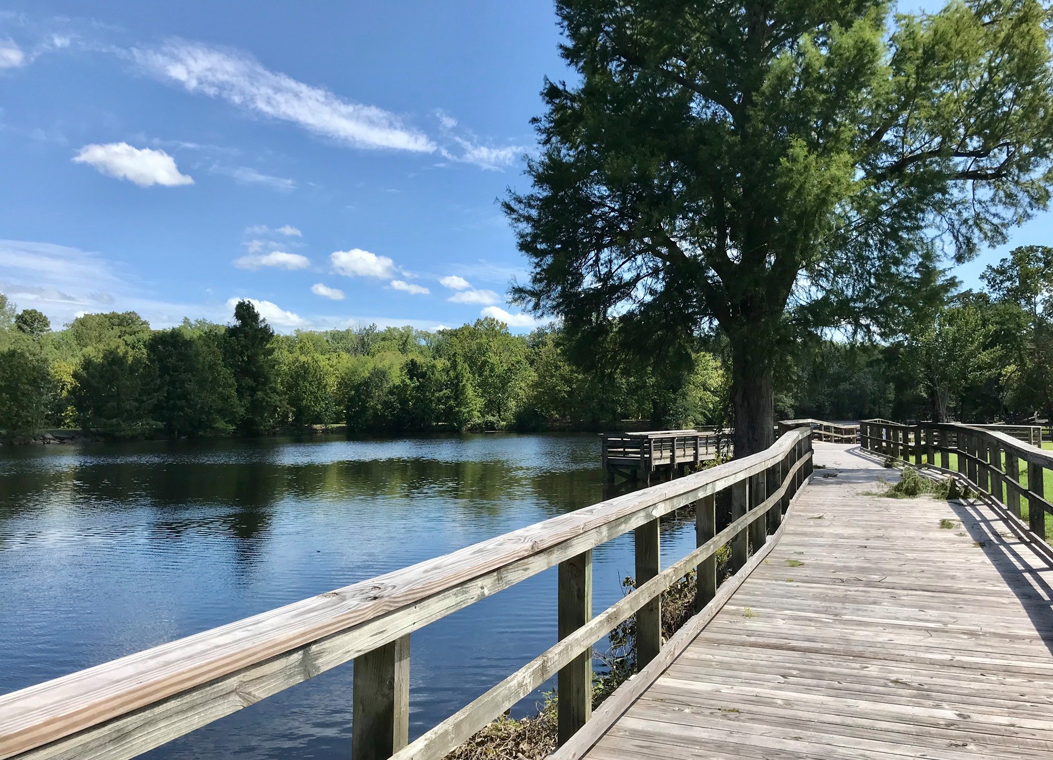 Cashie River boardwalk in Windsor, North Carolina.